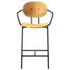 Sibast Piet Hein counter stool with armrest 65 cm, black - oiled oak