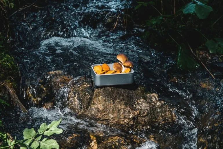 SIGG SIGG Metal Box Plus, L, aluminum