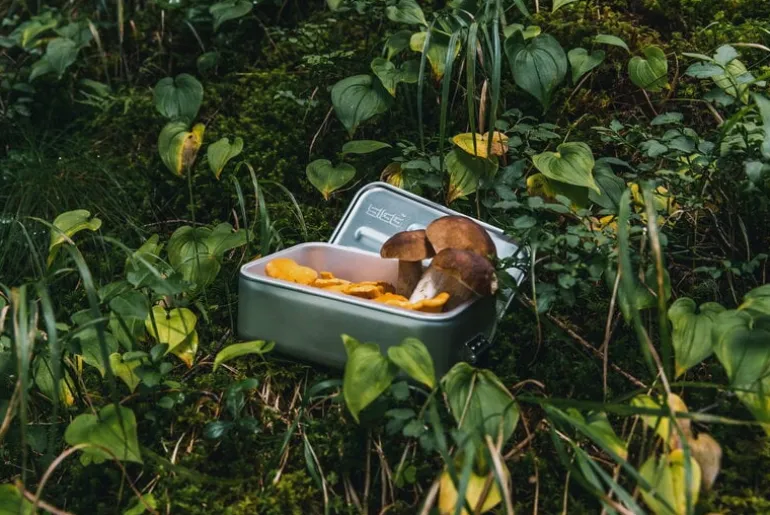 SIGG SIGG Metal Box Plus, L, aluminum