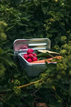 SIGG SIGG Metal Box Plus, L, aluminum