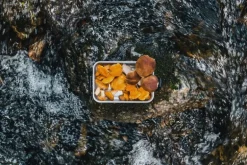 SIGG SIGG Metal Box Plus, L, aluminum