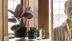 Skultuna Nurture watering can, brass