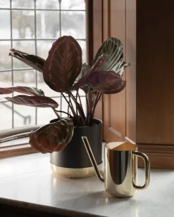 Skultuna Nurture watering can, brass