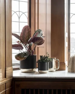 Skultuna Nurture watering can, brass