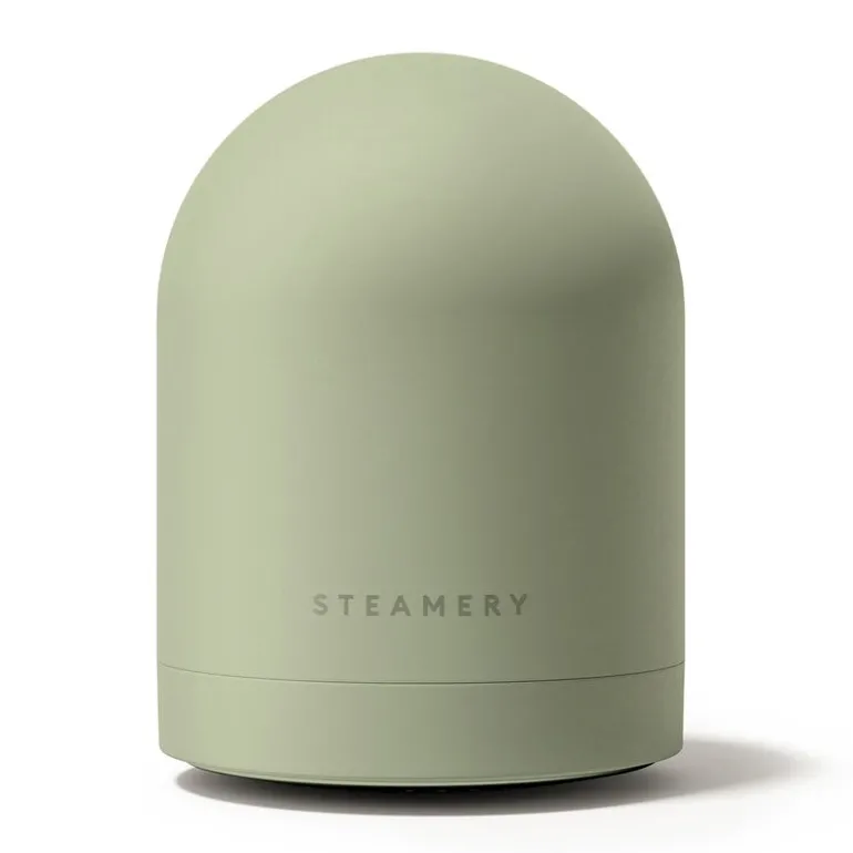 Steamery Pilo No. 2 fabric shaver, sage