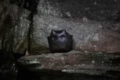 Tapio Anttila Collection Goblin figurine, black