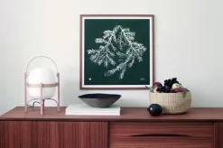 Teemu Järvi Illustrations Spruce Branch poster, 50 x 50 cm, forest green
