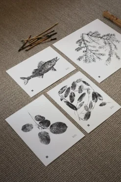 Teemu Järvi Illustrations Spruce Branch poster, 50 x 50 cm