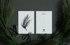 Teemu Järvi Illustrations Conifer mini poster set, 4 pcs