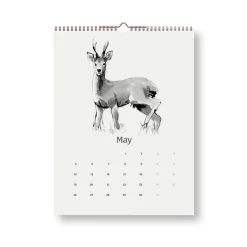 Teemu Järvi Illustrations The Heart of the Forest wall calendar 2025