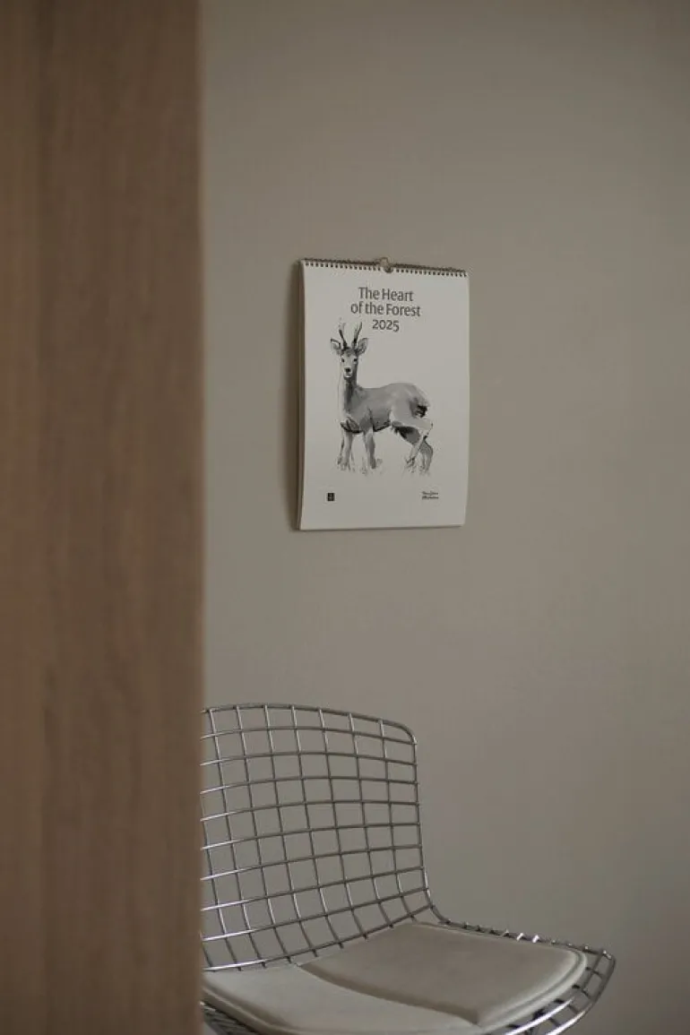 Teemu Järvi Illustrations The Heart of the Forest wall calendar 2025