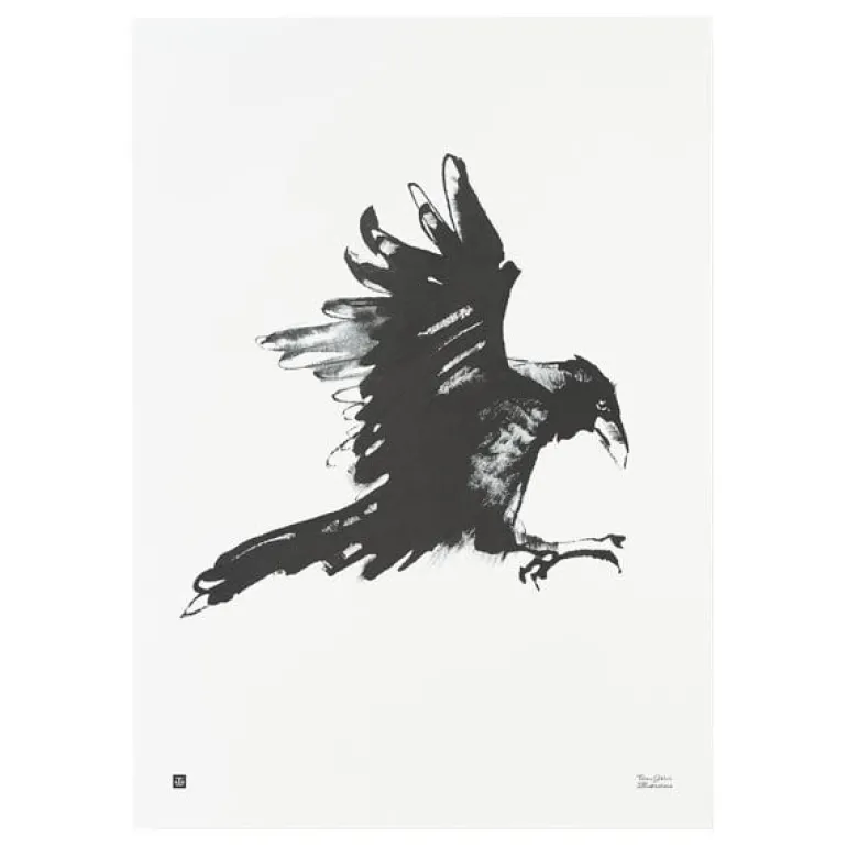 Teemu Järvi Illustrations Raven poster, 50 x 70 cm