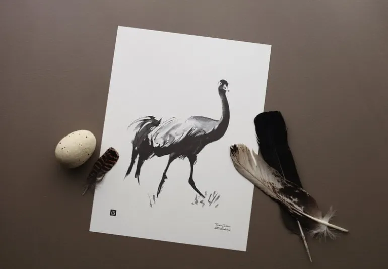 Teemu Järvi Illustrations Common Crane poster, 30 x 40 cm