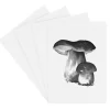 Teemu Järvi Illustrations Wild Mushroom mini poster set, 4 pcs
