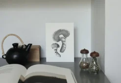 Teemu Järvi Illustrations Wild Mushroom mini poster set, 4 pcs