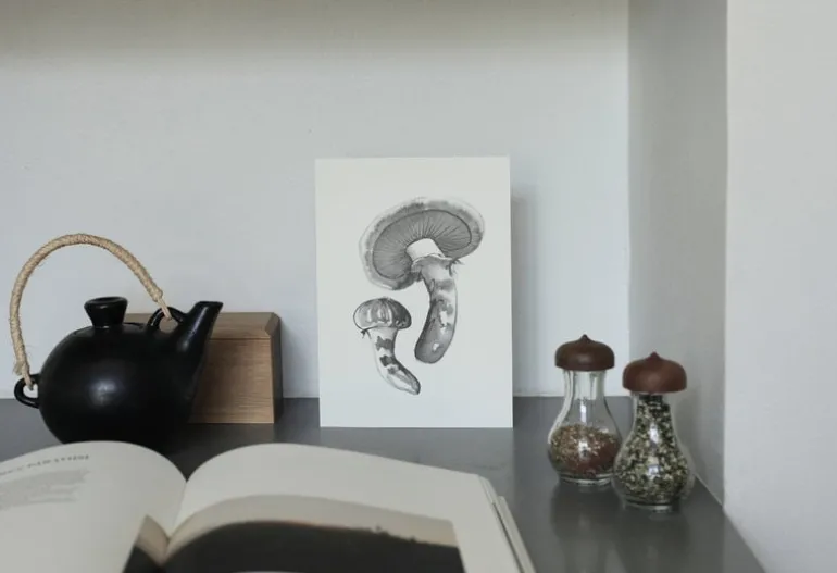 Teemu Järvi Illustrations Wild Mushroom mini poster set, 4 pcs