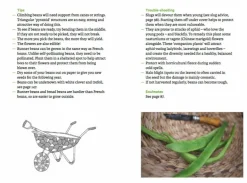 The Do Book Co Do Grow - Start with 10 simple vegetables