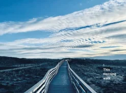 The Do Book Co Do Walk - Navigate earth, mind and body. Step by step