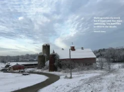 The Do Book Co Do Walk - Navigate earth, mind and body. Step by step