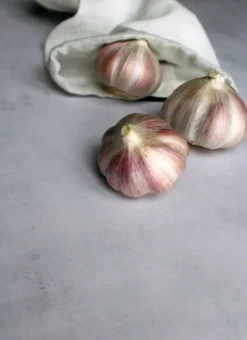 The Organic Company Food Bag, natural white