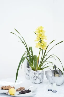 Tom Dixon Cloud vessel, short, silver