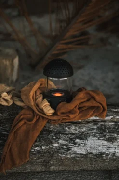 Transparent Light Speaker, black