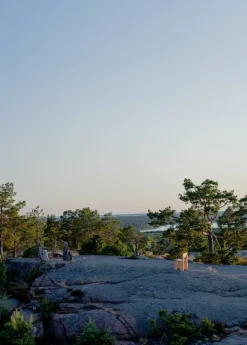 Vaarnii 001 dining chair, pine