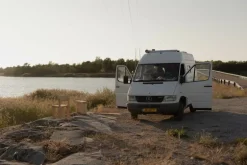 Vaarnii 001 dining chair, pine