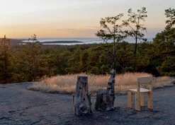 Vaarnii 001 dining chair, pine