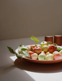 Vaidava Ceramics Earth centerpiece bowl, 39 cm, white