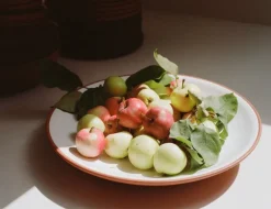 Vaidava Ceramics Earth centerpiece bowl, 39 cm, white