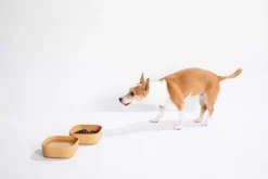 Venandi Design Pet Bowl, charcoal black