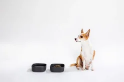 Venandi Design Pet Bowl, charcoal black