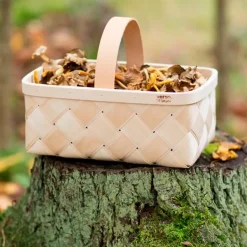 Verso Design Lastu mushroom basket, S