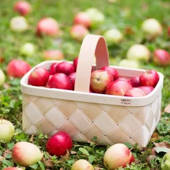 Verso Design Lastu mushroom basket, S