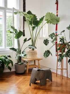 Vitra Eames Elephant, plywood, grey