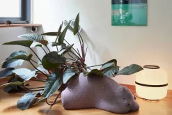 Vitra Resting Bear, mauve