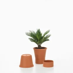 Vitra Terracotta pot, L, terracotta