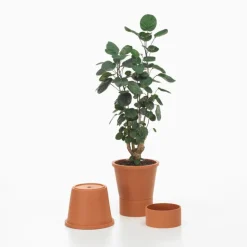 Vitra Terracotta pot, L, terracotta