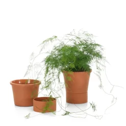 Vitra Terracotta pot, L, terracotta