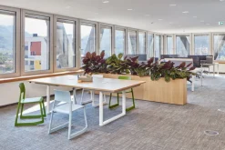 Vitra Tip Ton chair, ice grey