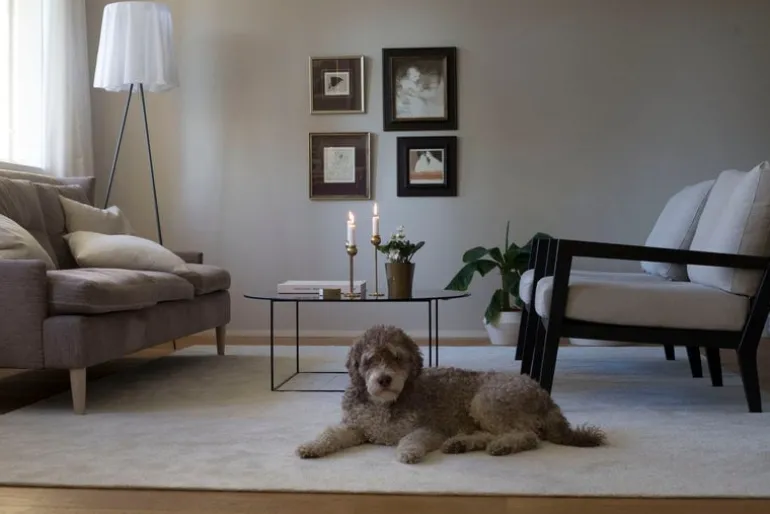 VM Carpet Hattara rug, white, narrow edging