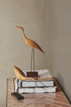 Warm Nordic Beak Bird, Low Heron, oak