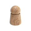 Woud Serene jar, tall, rainbow sandstone