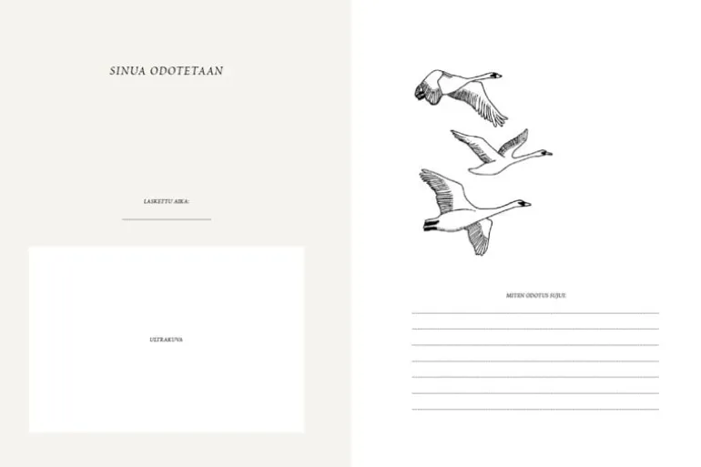 WSOY Saana ja Olli: Vauvakirja